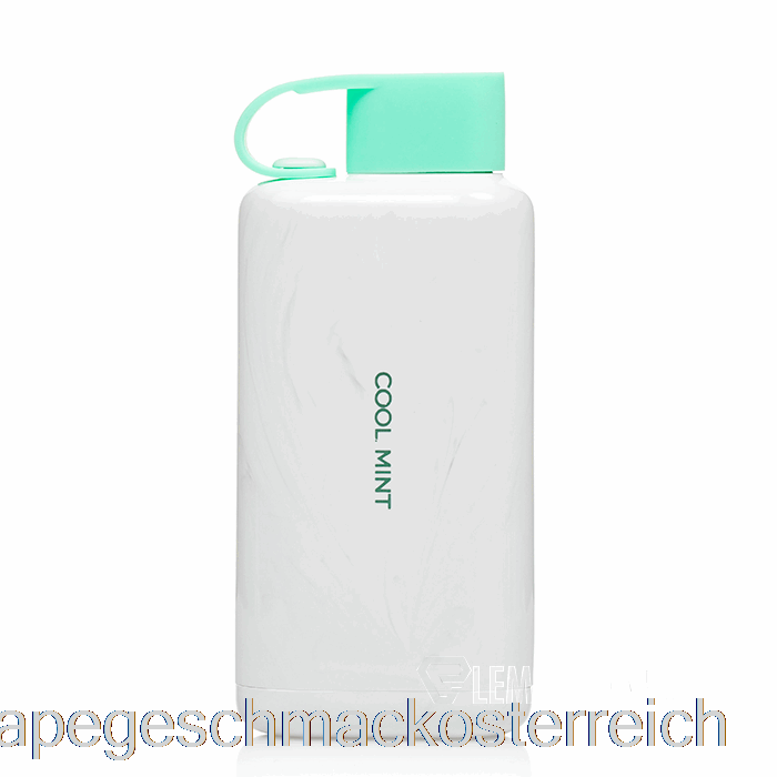 Vozol Star 9000 Einweg-Cold-Mint-Vape-Geschmack